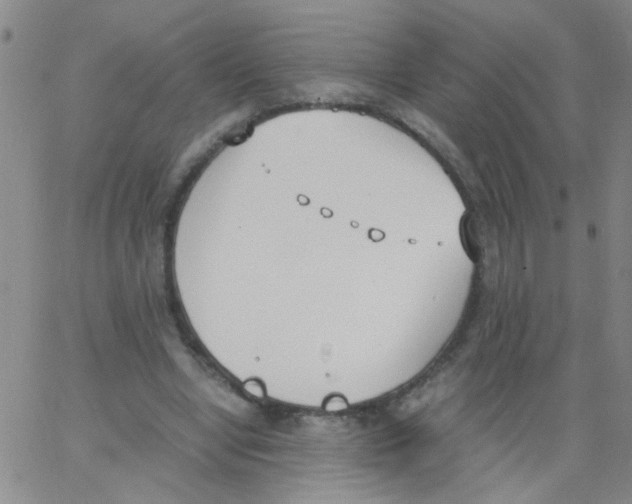 X0000062670442200601181904