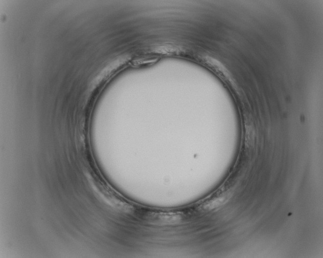 X0000062670443200601181904