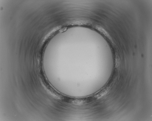 X0000062670444200601181904