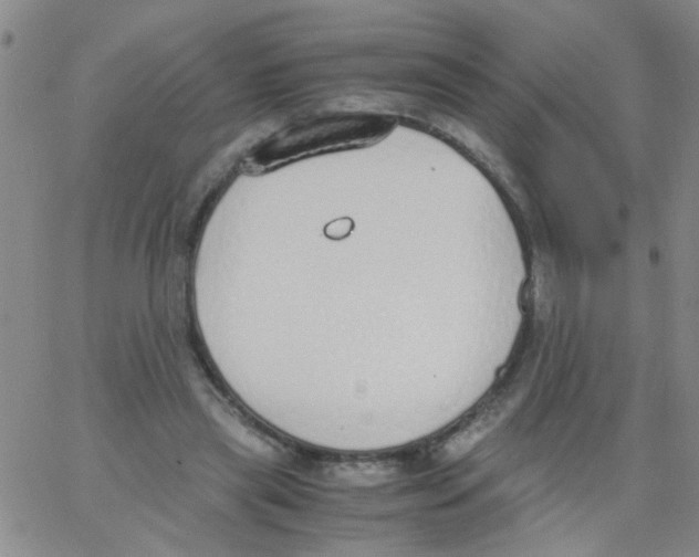 X0000062670445200601181904