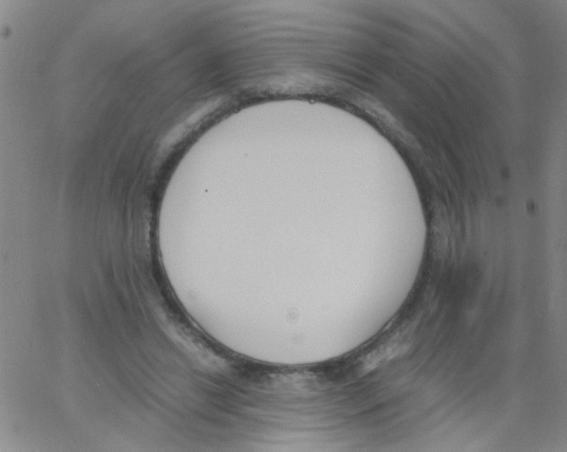 X0000062670446200601181904