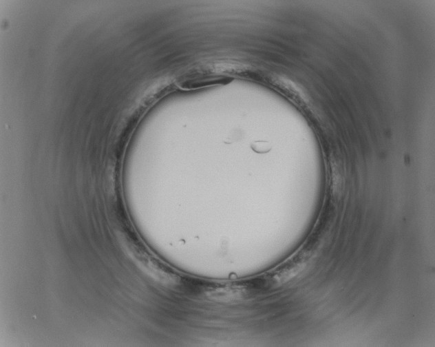 X0000062670447200601181904