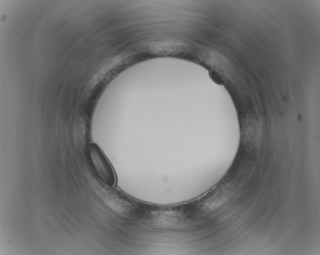 X0000062670448200601181904