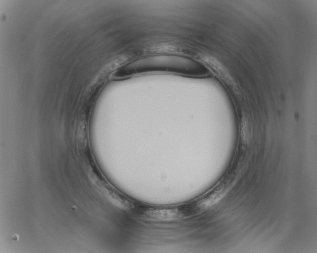 X0000062670449200601181904