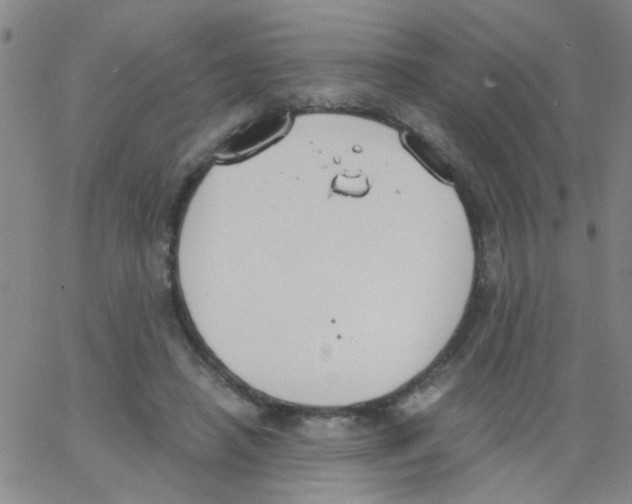 X0000062670450200601181904