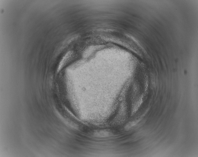 X0000062670451200601181904