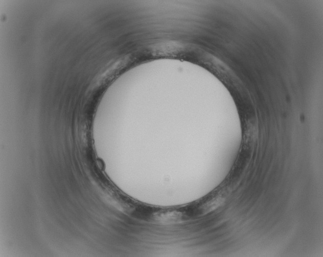 X0000062670452200601181904