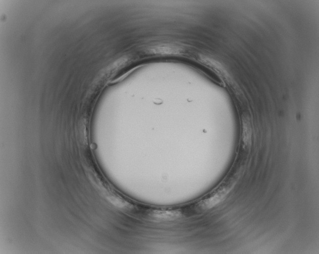 X0000062670453200601181904