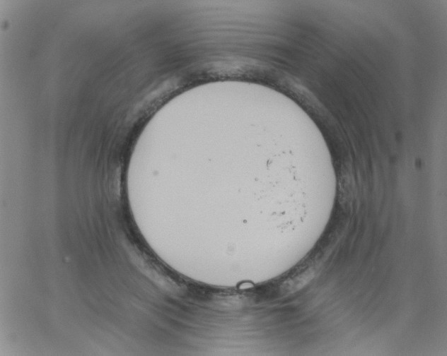 X0000062670454200601181904