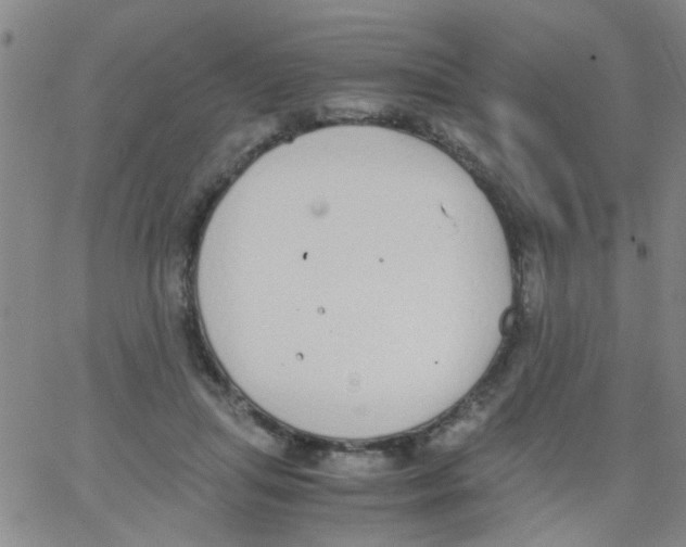 X0000062670455200601181905