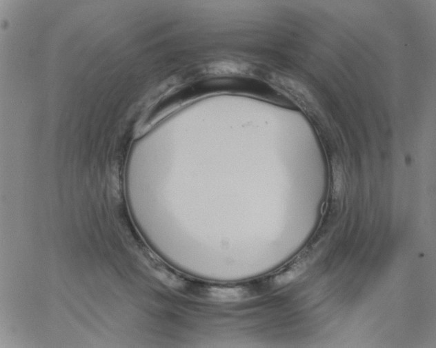 X0000062670457200601181905