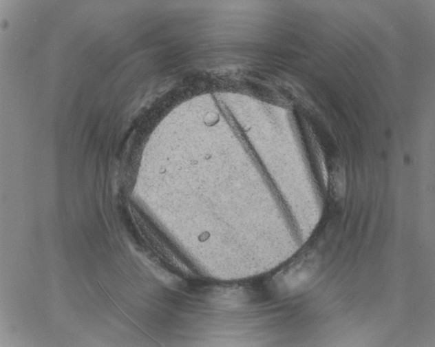 X0000062670458200601181905