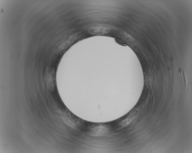 X0000062670460200601181905