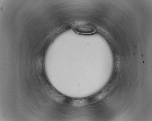 X0000062670461200601181905