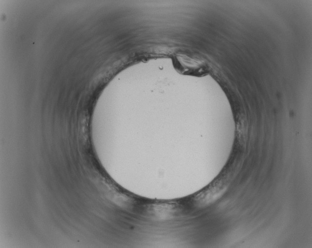 X0000062670462200601181905