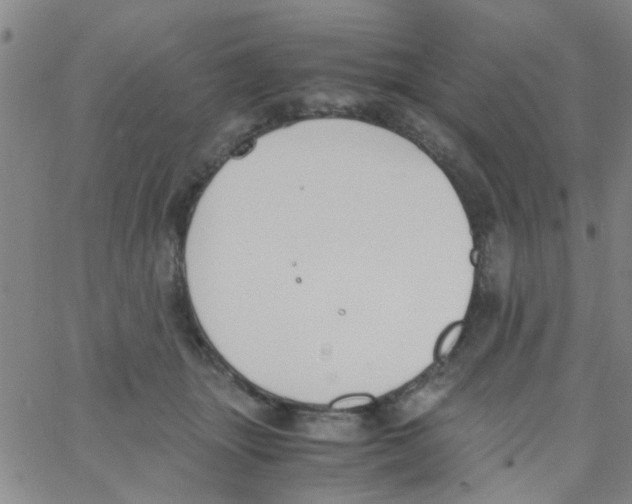 X0000062670463200601181905