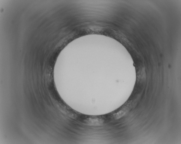 X0000062670464200601181905