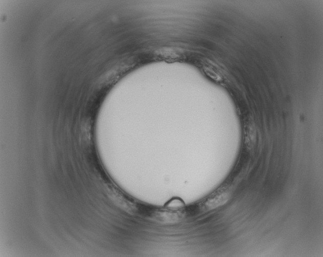 X0000062670466200601181905