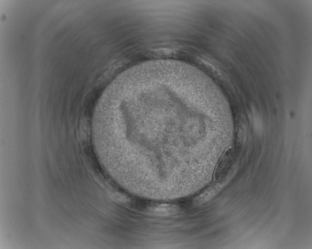 X0000062670467200601181905