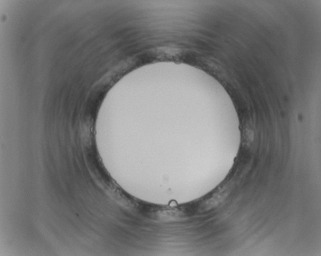 X0000062670468200601181905