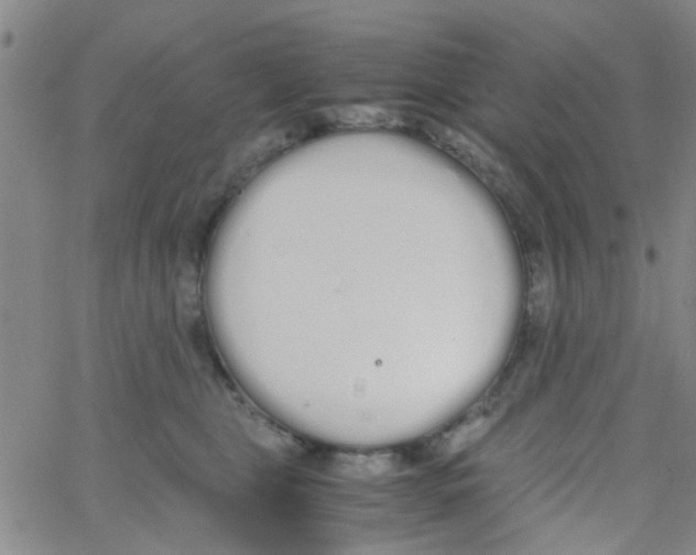 X0000062670469200601181905