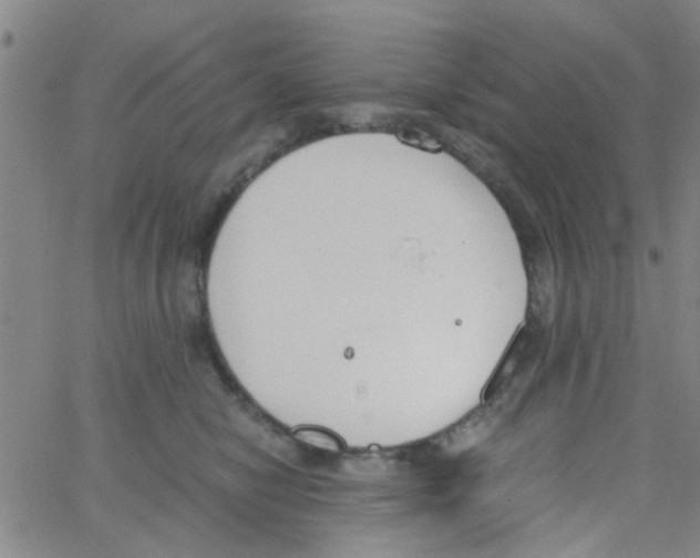 X0000062670470200601181905