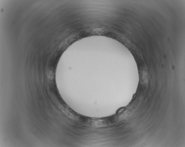 X0000062670472200601181905