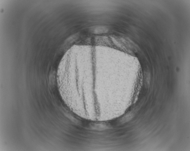 X0000062670475200601181905