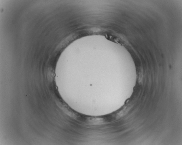 X0000062670476200601181905