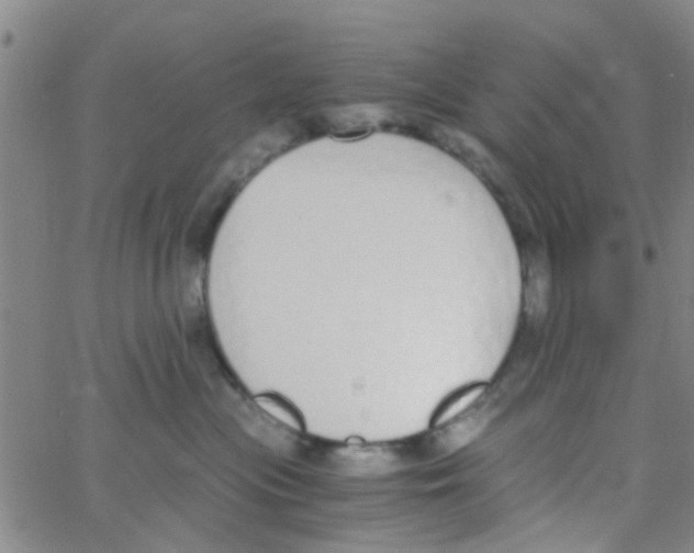 X0000062670477200601181905