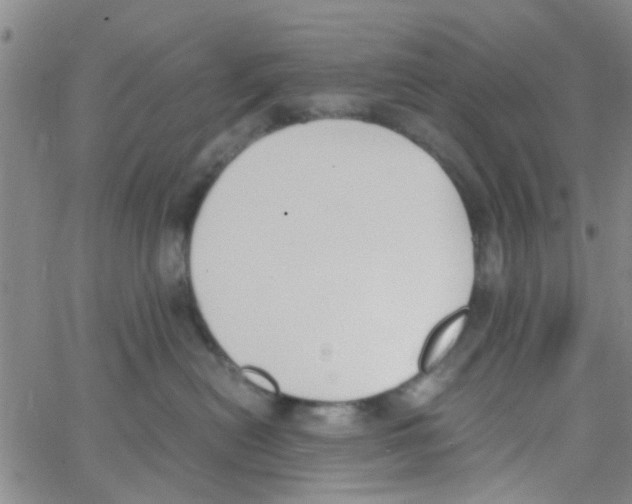 X0000062670478200601181905