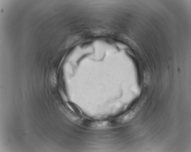 X0000062670479200601181905