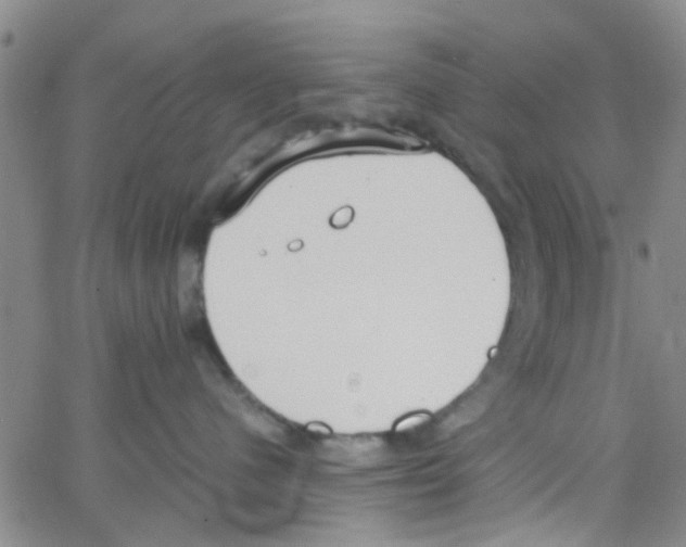 X0000062670480200601181905