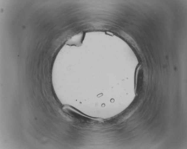 X0000062670481200601181904