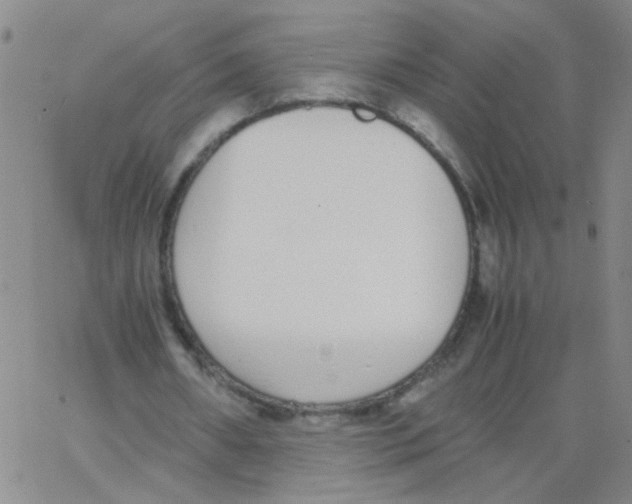 X0000062670482200601181904