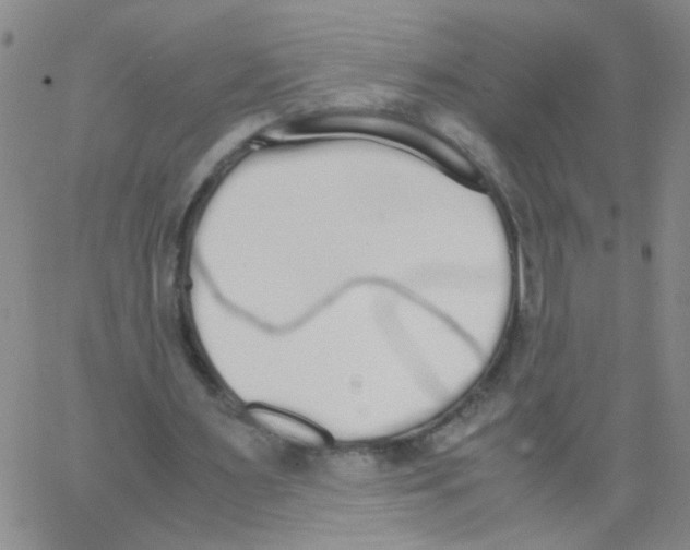 X0000062670483200601181904