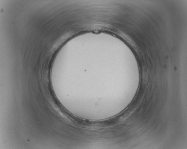 X0000062670485200601181904