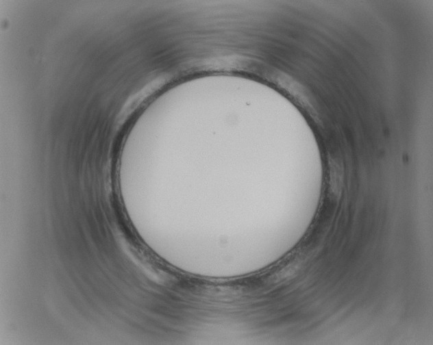 X0000062670486200601181904