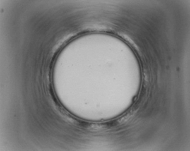 X0000062670487200601181904