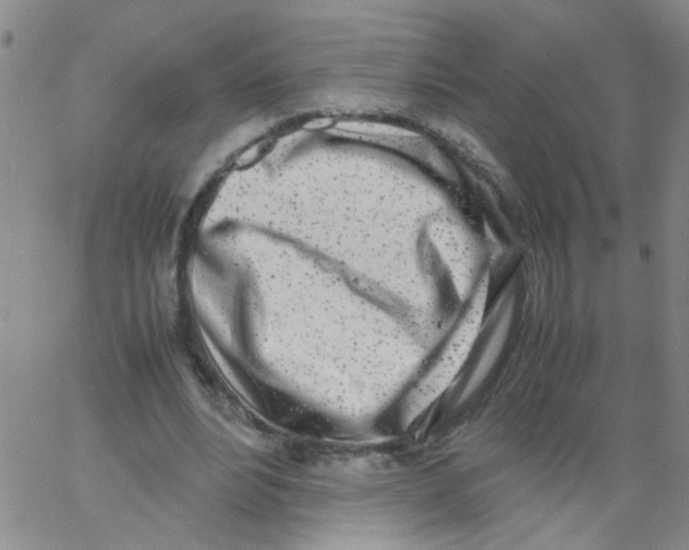 X0000062670488200601181904