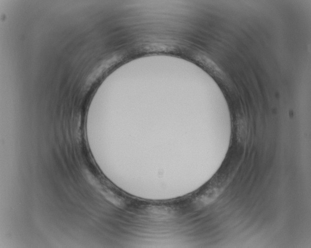 X0000062670490200601181904