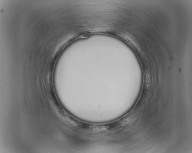 X0000062670491200601181904