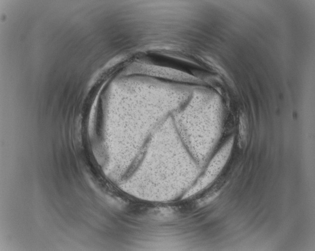 X0000062670492200601181904