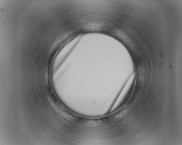 X0000062670494200601181904