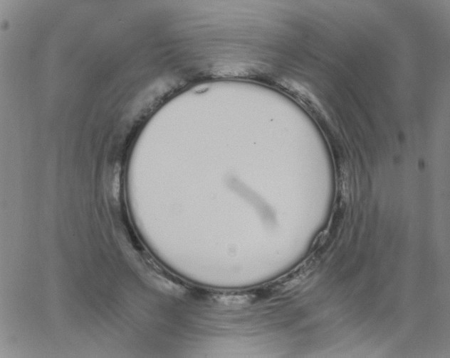 X0000062670495200601181904