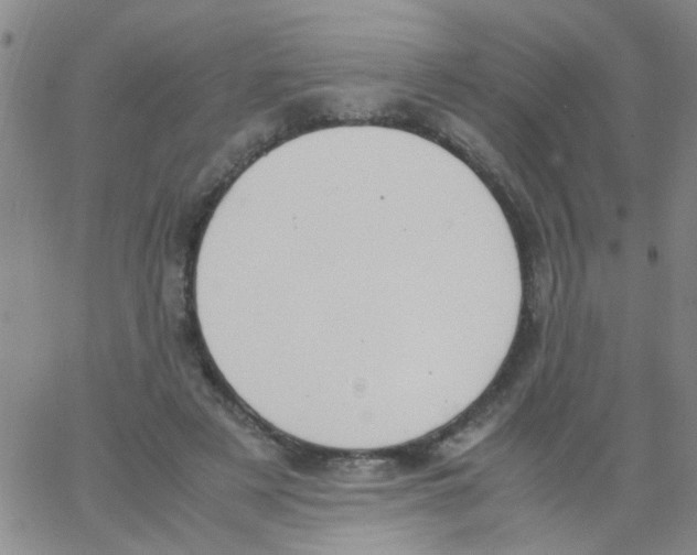 X0000062670497200601181904