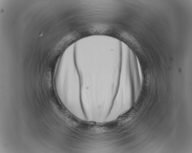 X0000062670498200601181904