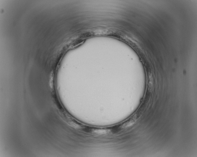 X0000062670499200601181904