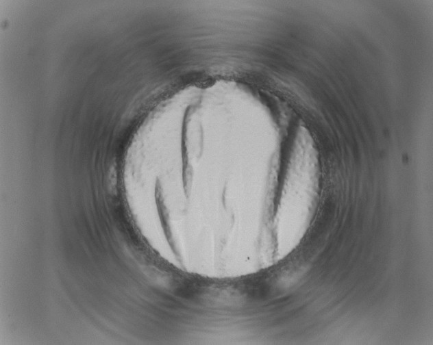 X0000062670502200601181904