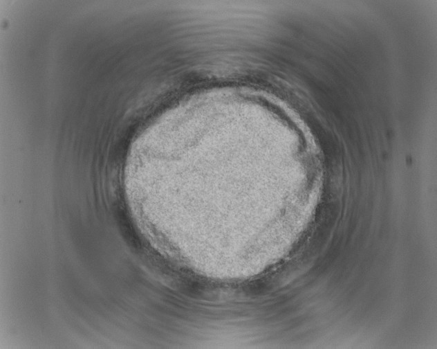 X0000062670503200601181904